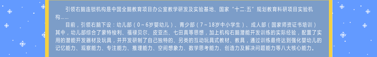 全脑开发