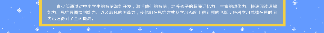 智力开发