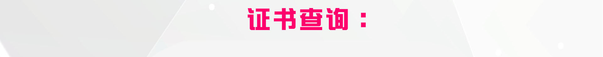引领讲师培训