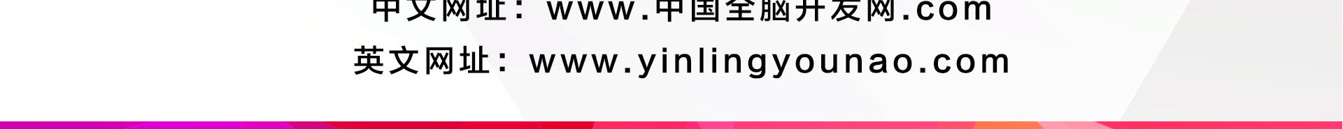 引领右脑84期