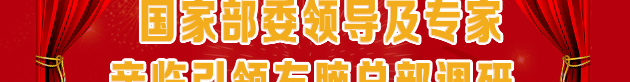 全脑开发