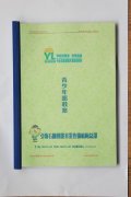 引领右脑青少年部教案