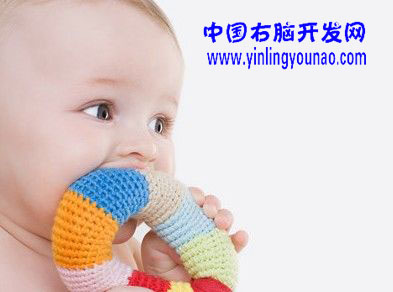 引领右脑，中国全脑开发网