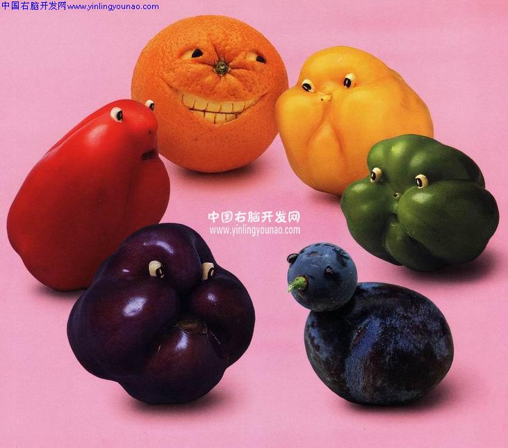 中国全脑开发网