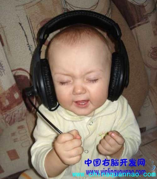 全脑开发