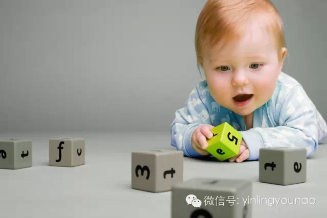 孩子智力开发