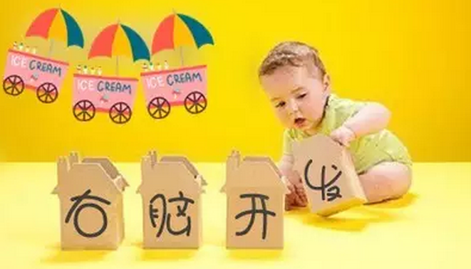 引领右脑