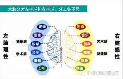 引领右脑