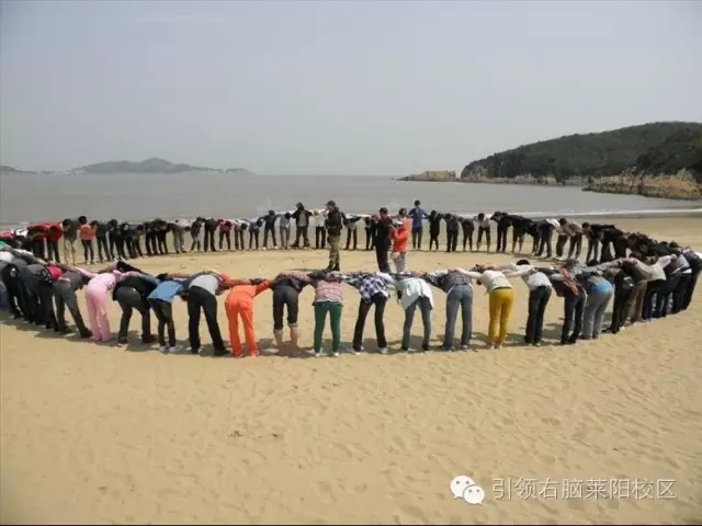 引领右脑
