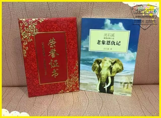 引领右脑
