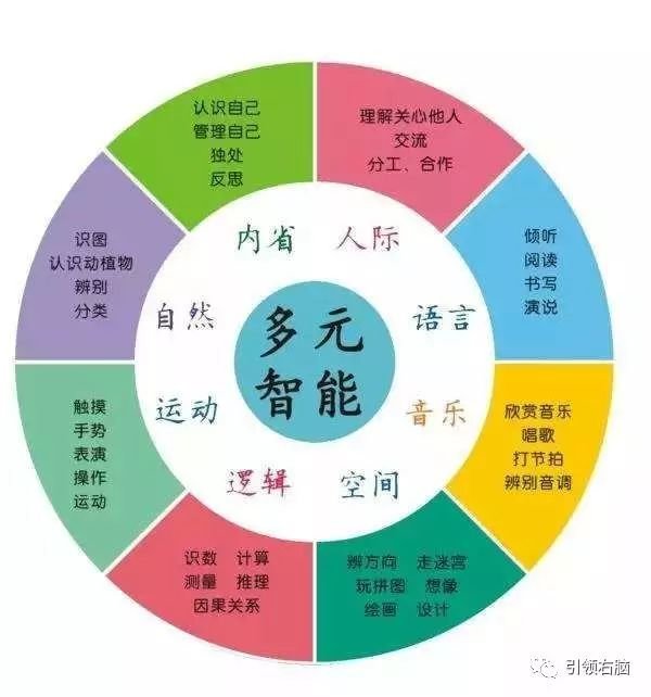 引领右脑