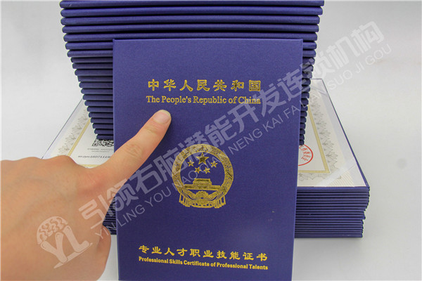 全脑潜能开发师