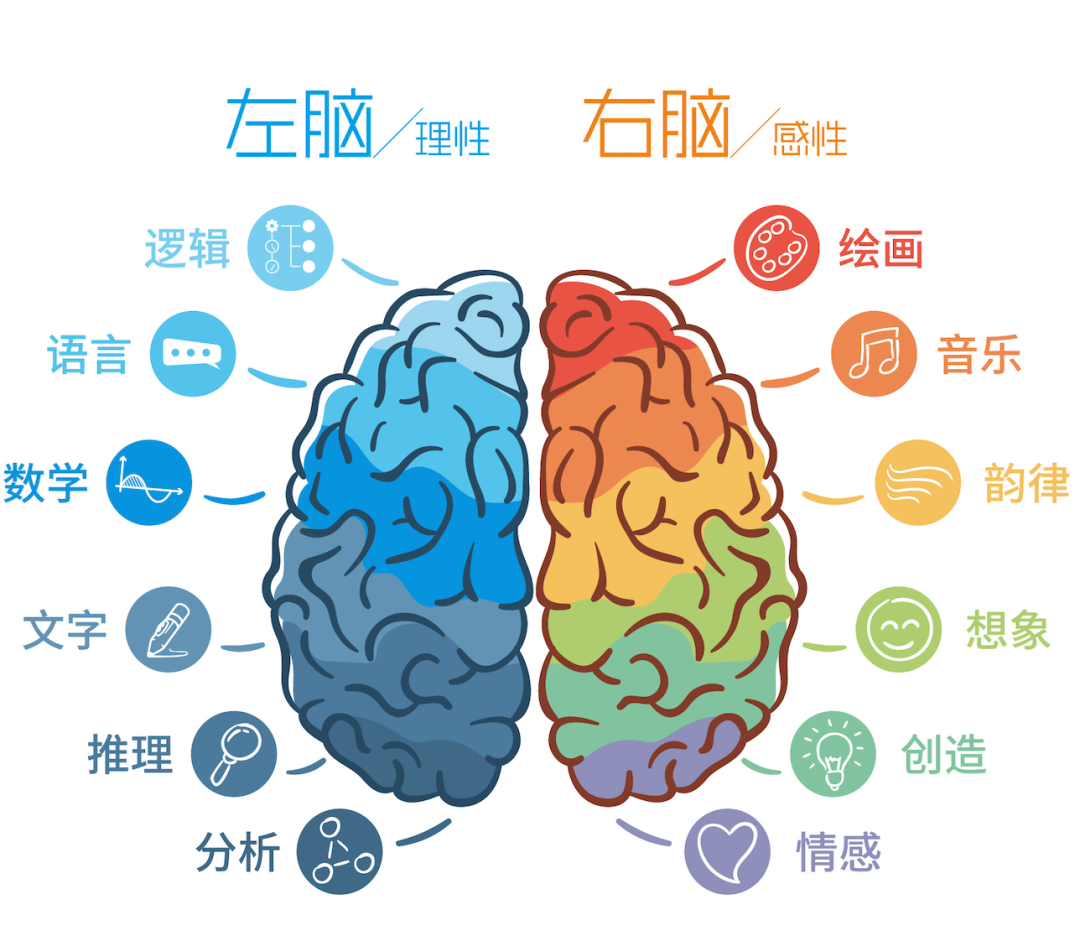 幼儿全脑开发课程